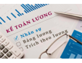 Thông tư 133/2016/TT-BTC hướng dẫn Chế độ kế toán doanh nghiệp nhỏ và vừa do Bộ trưởng Bộ Tài chính ban hành